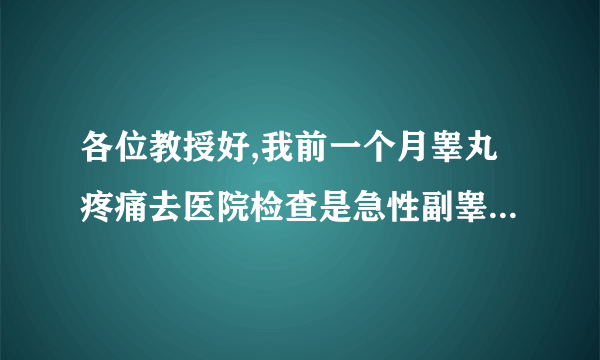 各位教授好,我前一个月睾丸疼痛去医院检查是急性副睾炎,我服用了2个礼拜的(力贝尔)乳酸司帕沙星片和打..