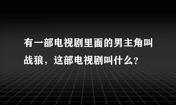 有一部电视剧里面的男主角叫战狼，这部电视剧叫什么？