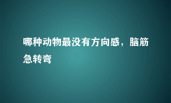 哪种动物最没有方向感，脑筋急转弯