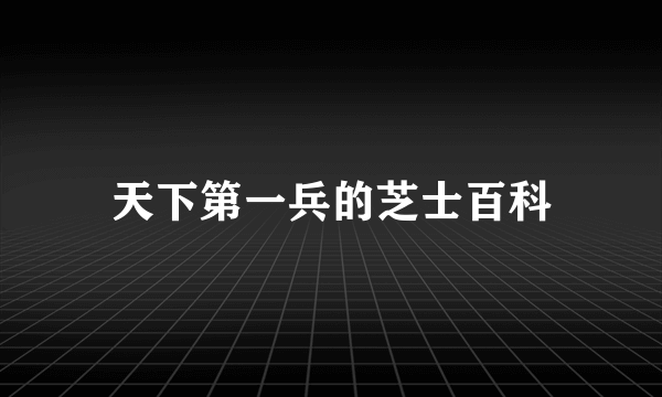 天下第一兵的芝士百科