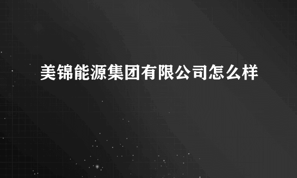 美锦能源集团有限公司怎么样