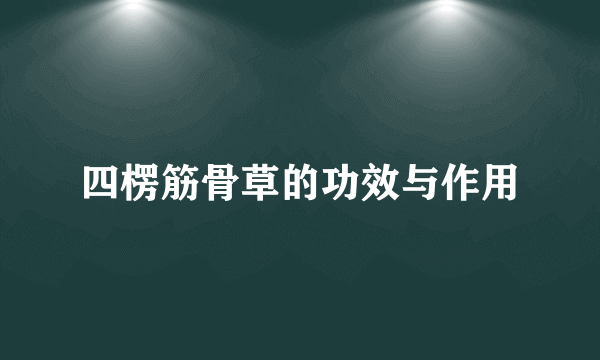 四楞筋骨草的功效与作用