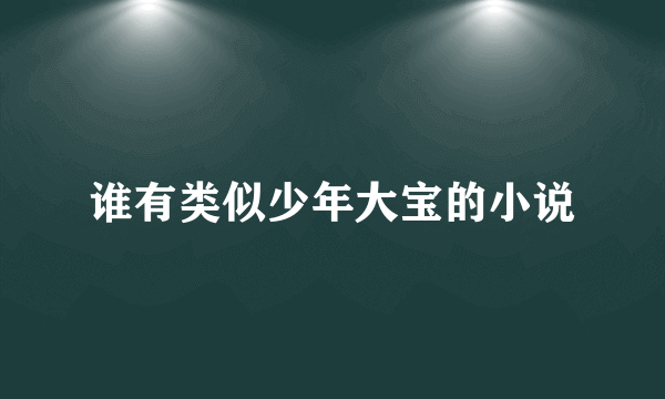 谁有类似少年大宝的小说