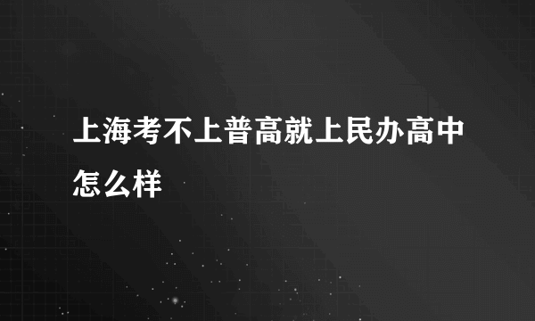 上海考不上普高就上民办高中怎么样