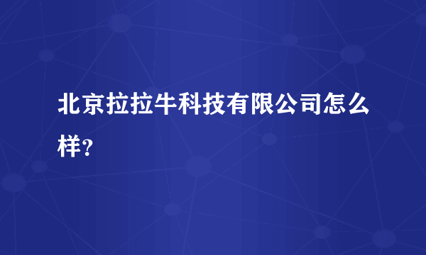 北京拉拉牛科技有限公司怎么样？