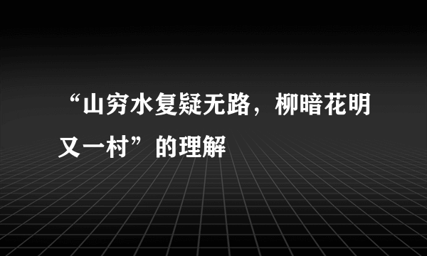 “山穷水复疑无路，柳暗花明又一村”的理解