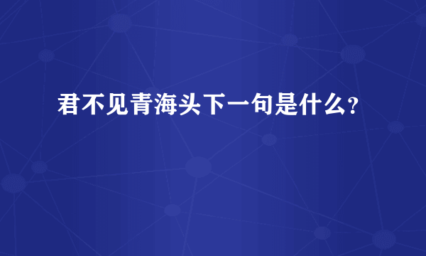 君不见青海头下一句是什么？