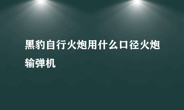 黑豹自行火炮用什么口径火炮输弹机