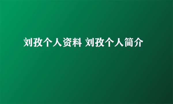 刘孜个人资料 刘孜个人简介