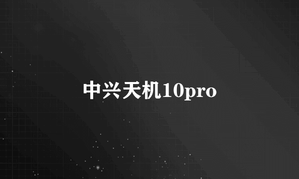 中兴天机10pro