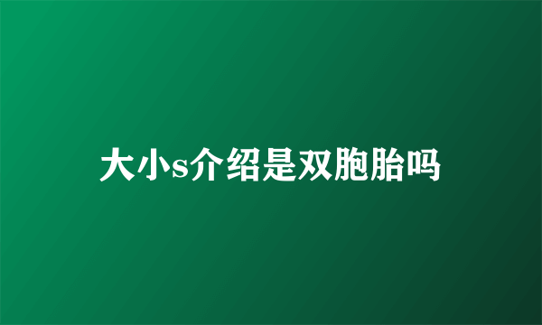 大小s介绍是双胞胎吗