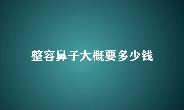 整容鼻子大概要多少钱