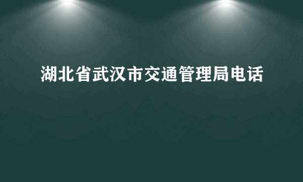 湖北省武汉市交通管理局电话