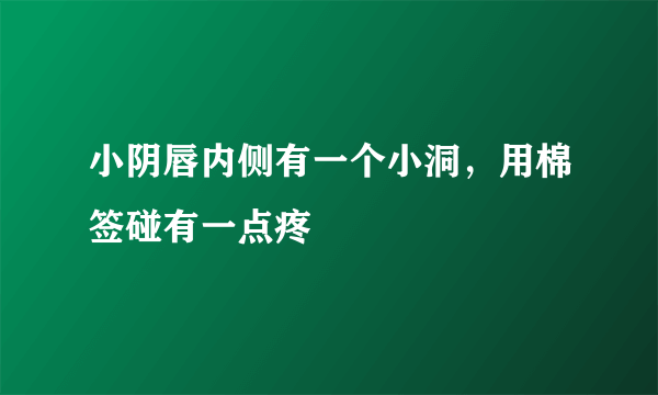 小阴唇内侧有一个小洞，用棉签碰有一点疼