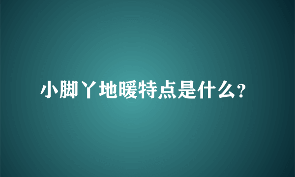 小脚丫地暖特点是什么？