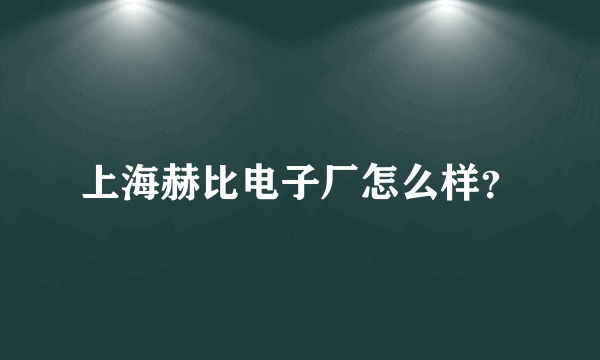 上海赫比电子厂怎么样？