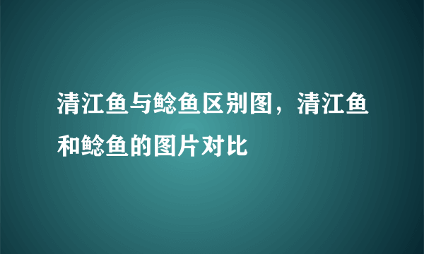 清江鱼与鲶鱼区别图，清江鱼和鲶鱼的图片对比