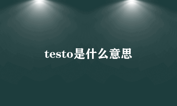 testo是什么意思