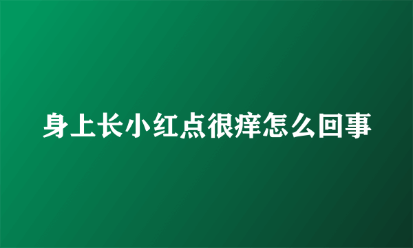 身上长小红点很痒怎么回事