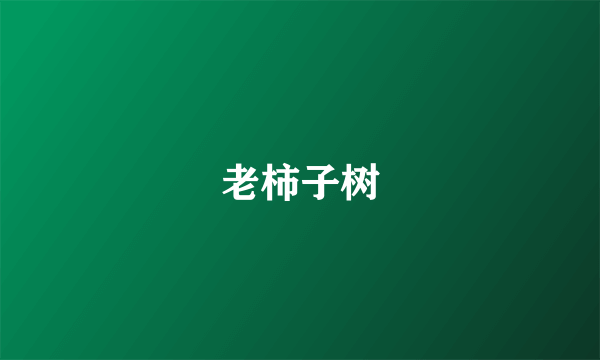 老柿子树