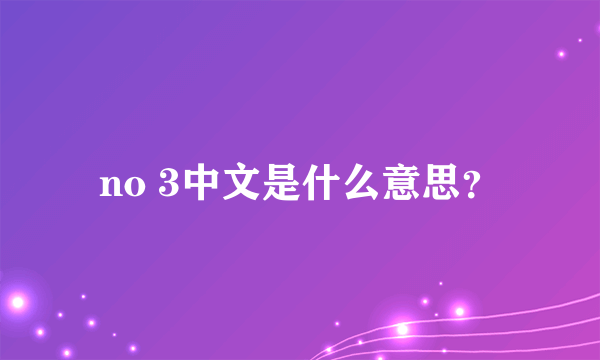 no 3中文是什么意思？