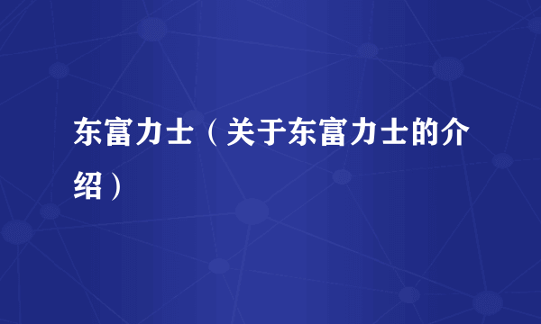 东富力士（关于东富力士的介绍）