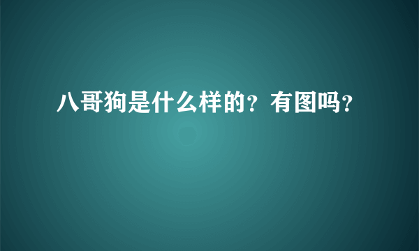 八哥狗是什么样的？有图吗？