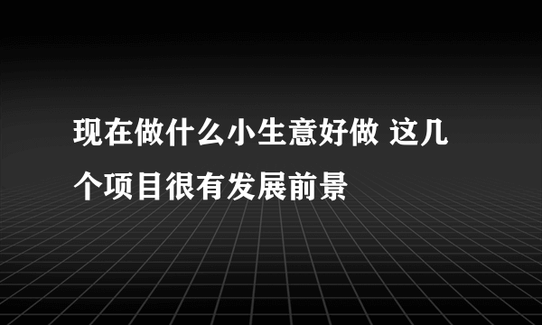 现在做什么小生意好做 这几个项目很有发展前景