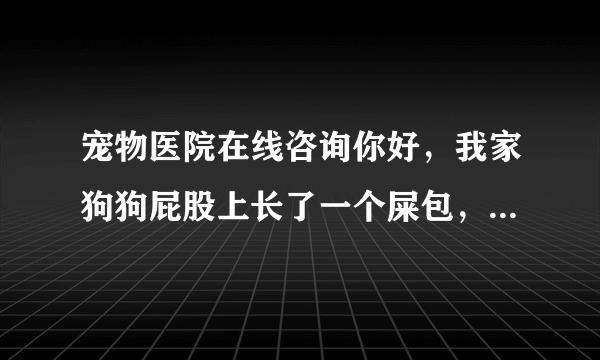 宠物医院在线咨询你好，我家狗狗屁股上长了一个屎包，有鸡蛋那么大