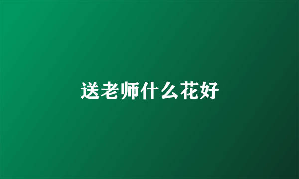 送老师什么花好