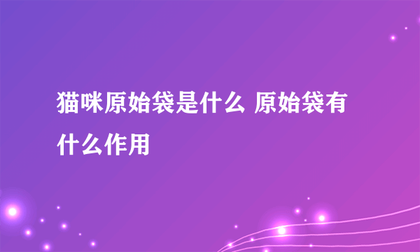 猫咪原始袋是什么 原始袋有什么作用