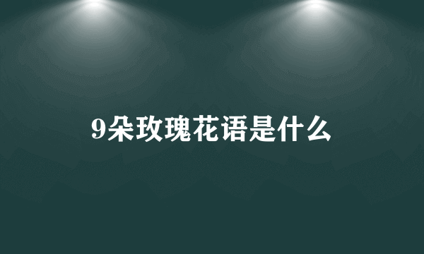 9朵玫瑰花语是什么