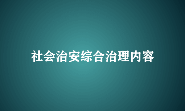 社会治安综合治理内容