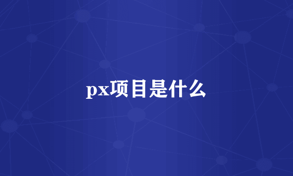 px项目是什么