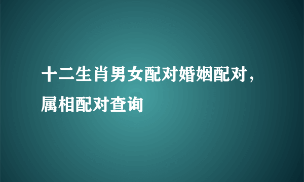 十二生肖男女配对婚姻配对，属相配对查询