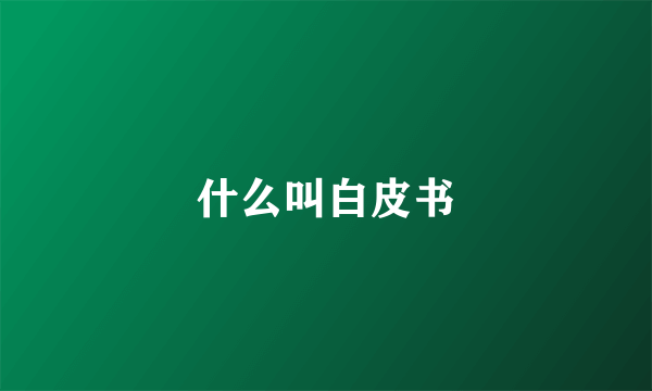 什么叫白皮书