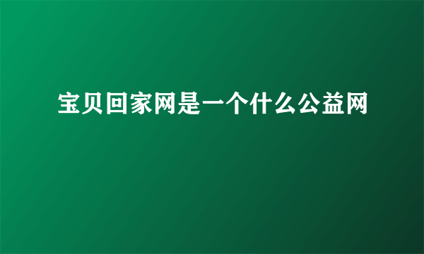 宝贝回家网是一个什么公益网