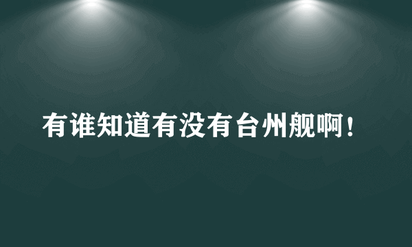 有谁知道有没有台州舰啊！