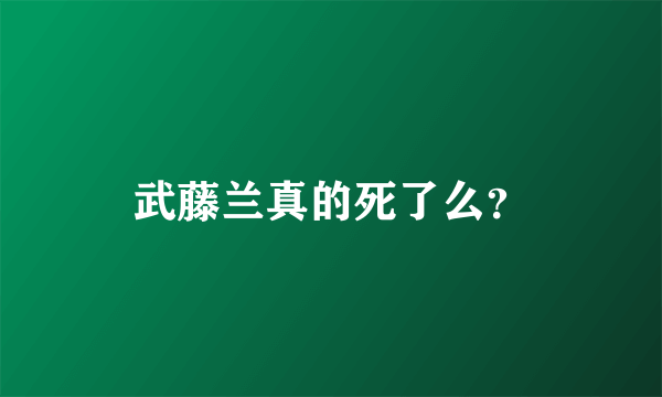 武藤兰真的死了么？