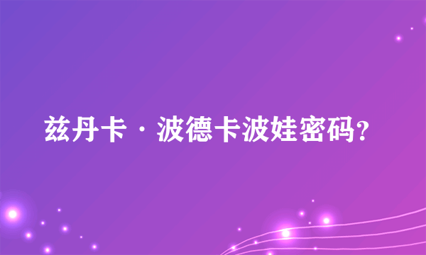 兹丹卡·波德卡波娃密码？