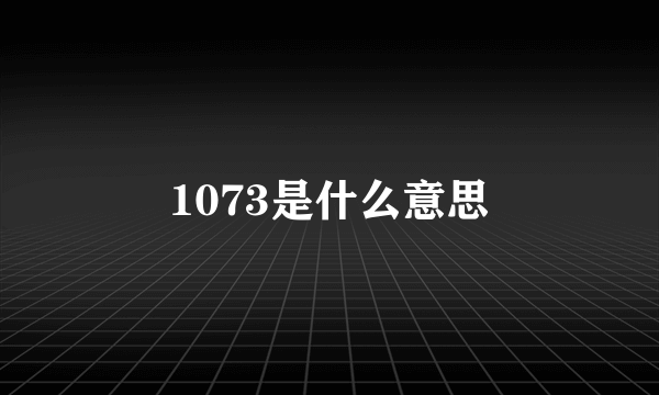 1073是什么意思