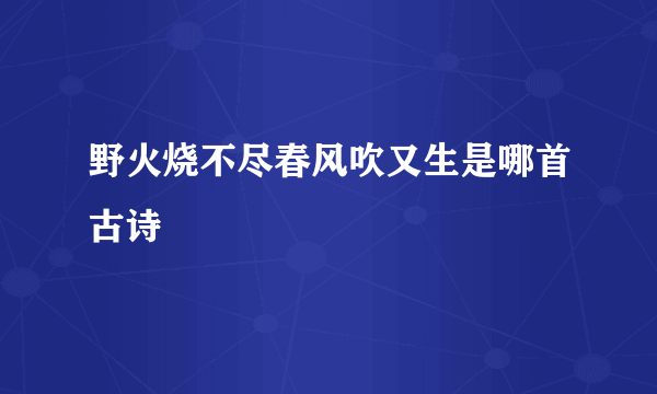 野火烧不尽春风吹又生是哪首古诗