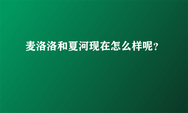 麦洛洛和夏河现在怎么样呢？