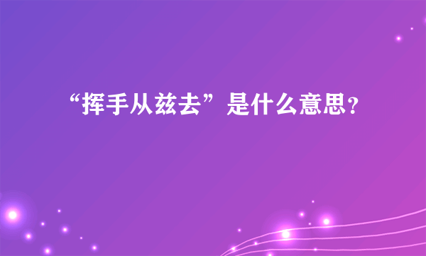 “挥手从兹去”是什么意思？