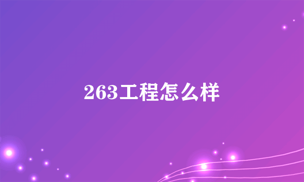 263工程怎么样