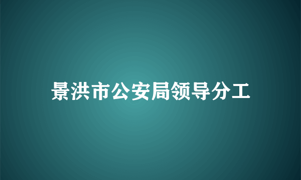 景洪市公安局领导分工