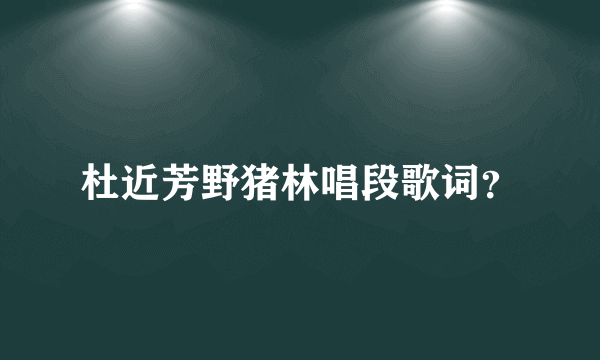 杜近芳野猪林唱段歌词？