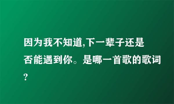 因为我不知道,下一辈子还是否能遇到你。是哪一首歌的歌词?