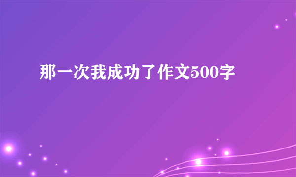 那一次我成功了作文500字