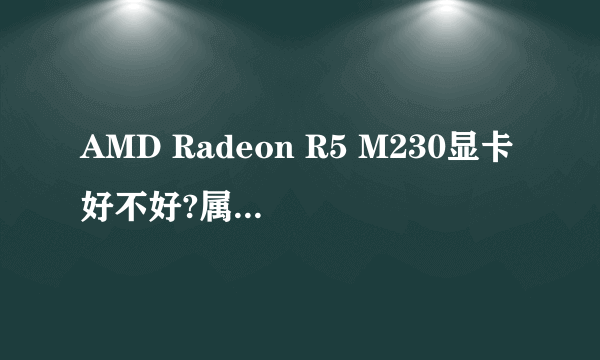 AMD Radeon R5 M230显卡好不好?属于什么级别的